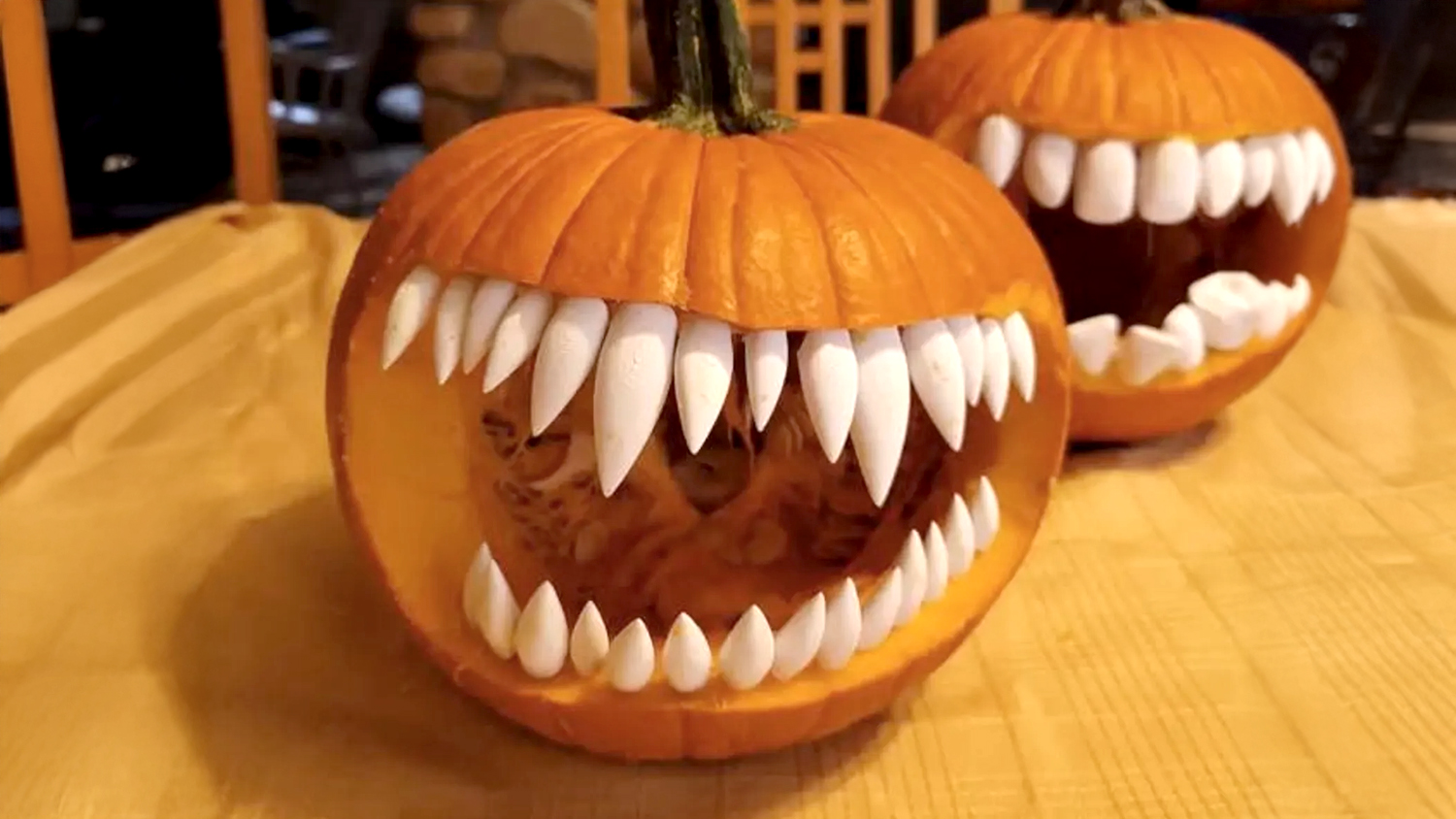 Pumpkin Teeth Pumpkin Teeth