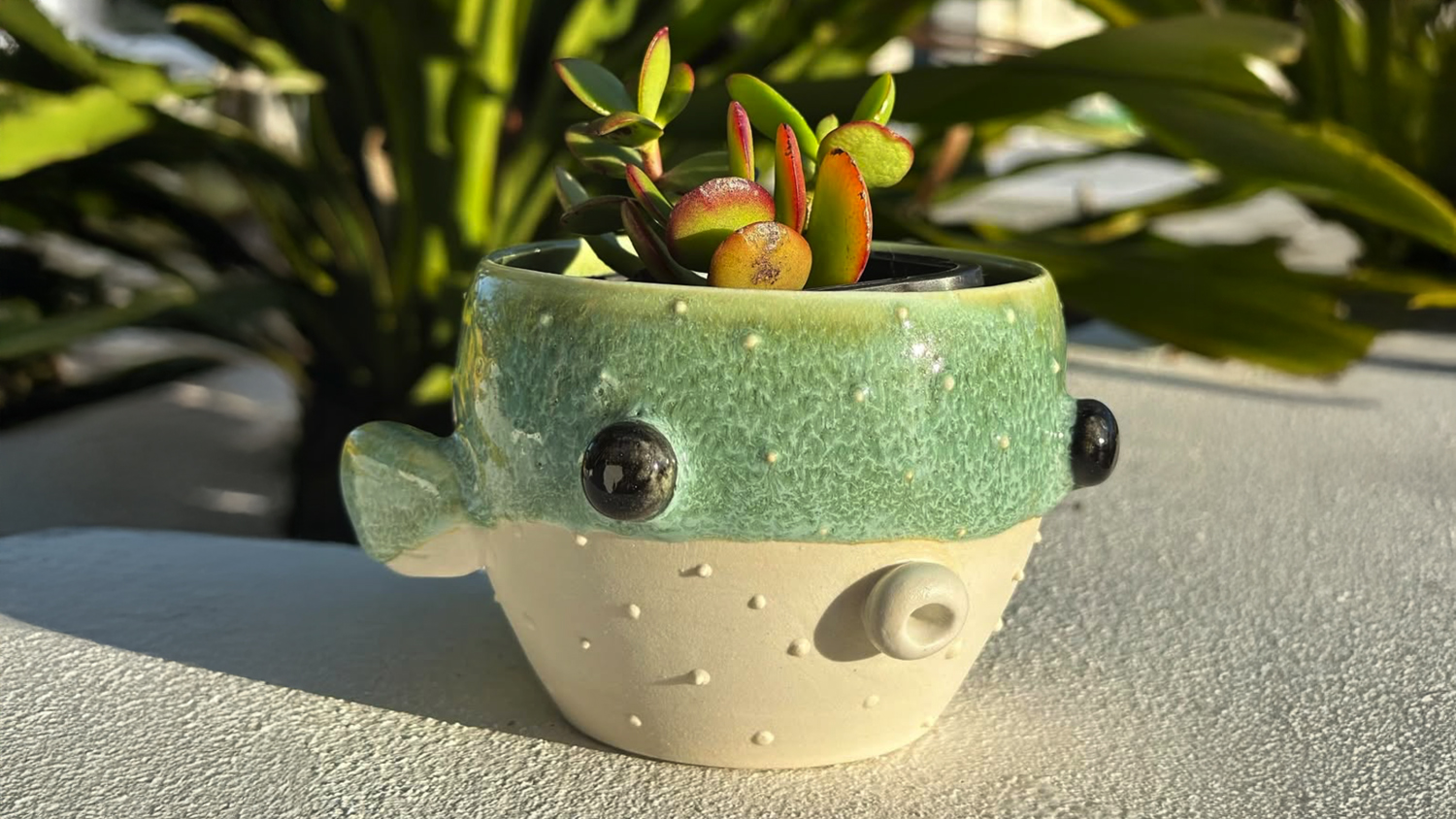 Pouty Pots by YukaPo Pouty Pots by YukaPo