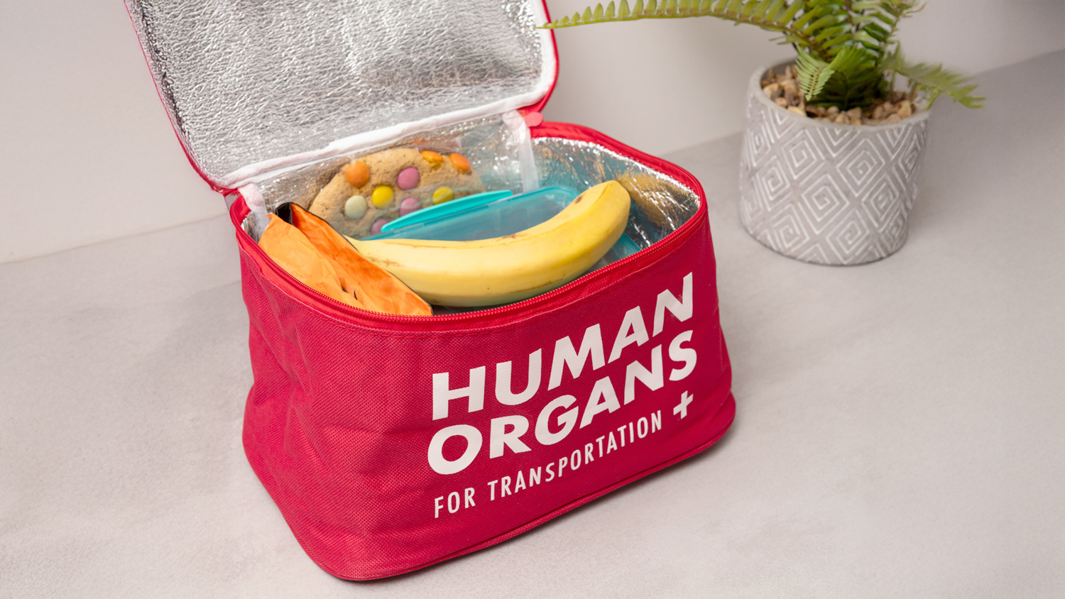 Human Organs Lunch Bag Human Organs Lunch Bag