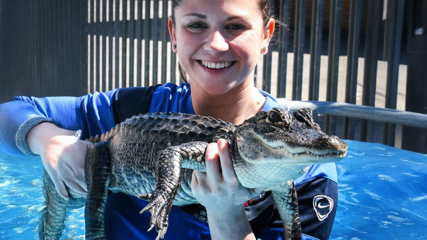 Swimming With Crocodiles Swimming With Crocodiles